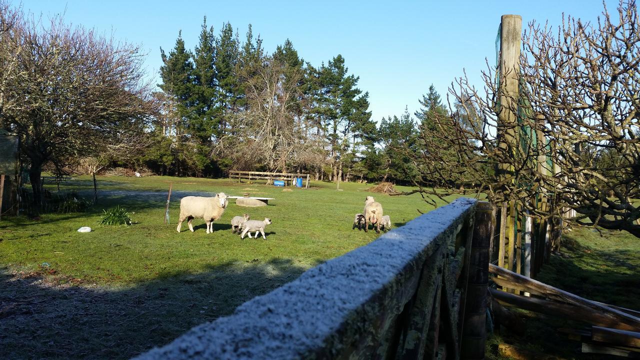 Woodbury Farm Bed and Breakfast Takanini Buitenkant foto