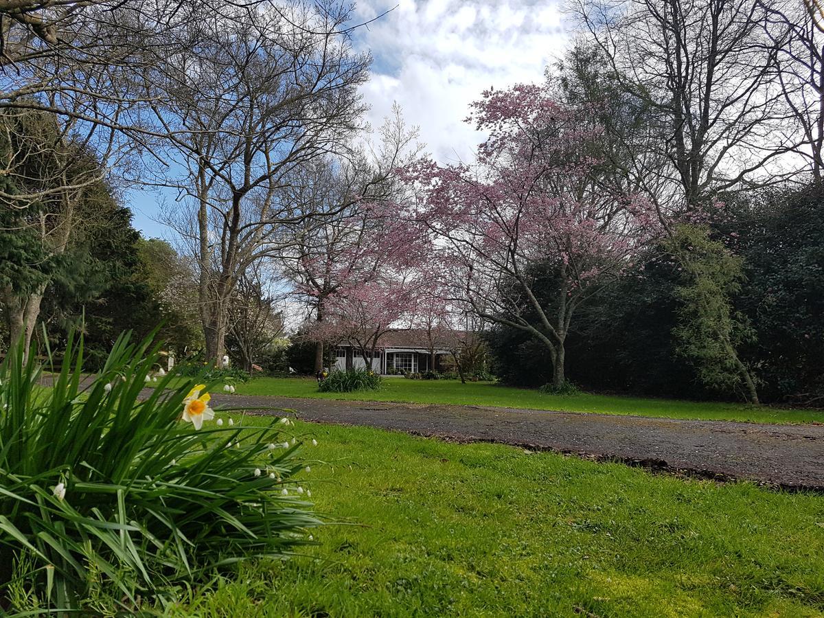 Woodbury Farm Bed and Breakfast Takanini Buitenkant foto